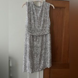 Express silver sequin dress